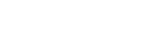 BDM Bet Logo